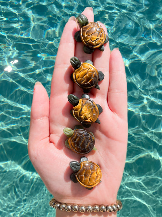 Tiger’s Eye & Serpentine Turtle