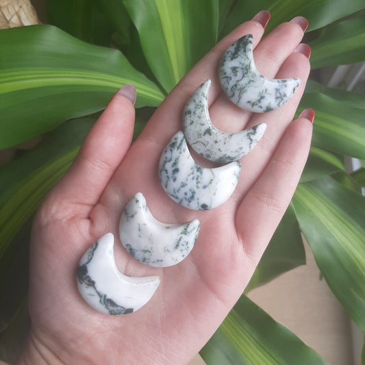 Tree Agate Mini Moon