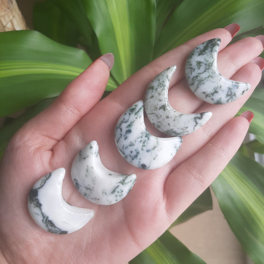 Tree Agate Mini Moon