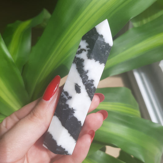Zebra Jasper Point