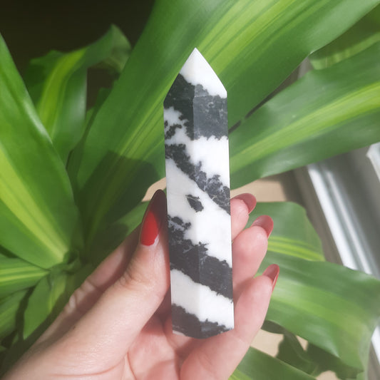 Zebra Jasper Point