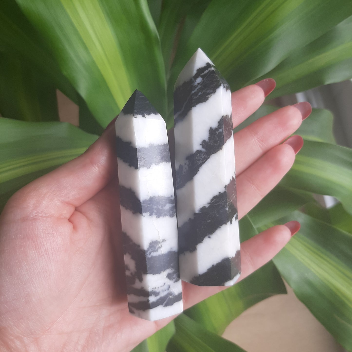 Zebra Jasper Point