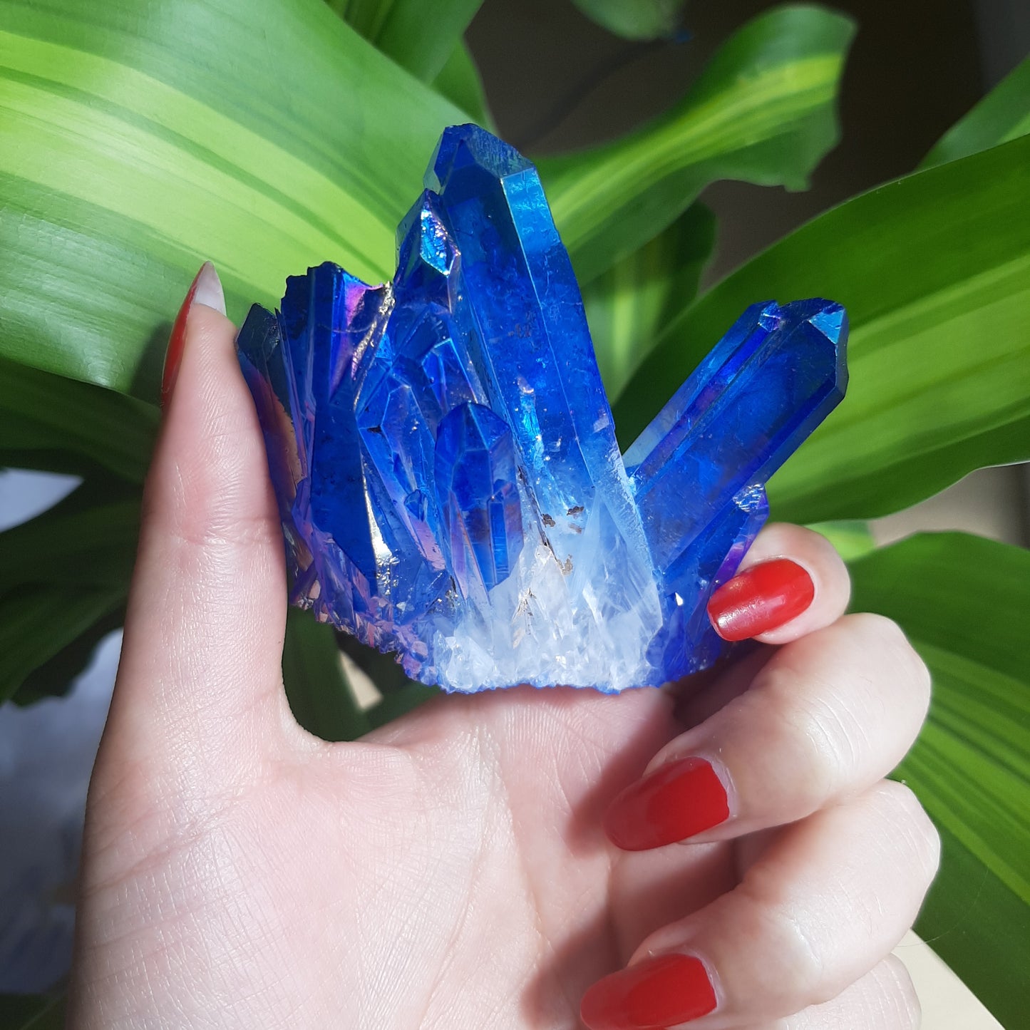 Blue Aura Quartz Cluster