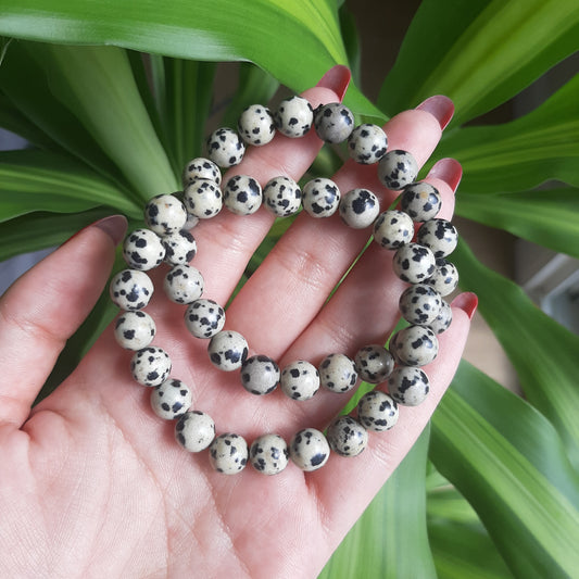 Dalmatian Jasper Bracelet
