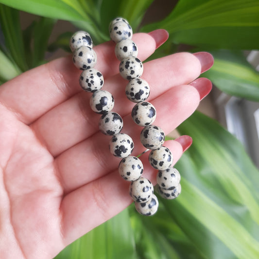 Dalmatian Jasper Bracelet