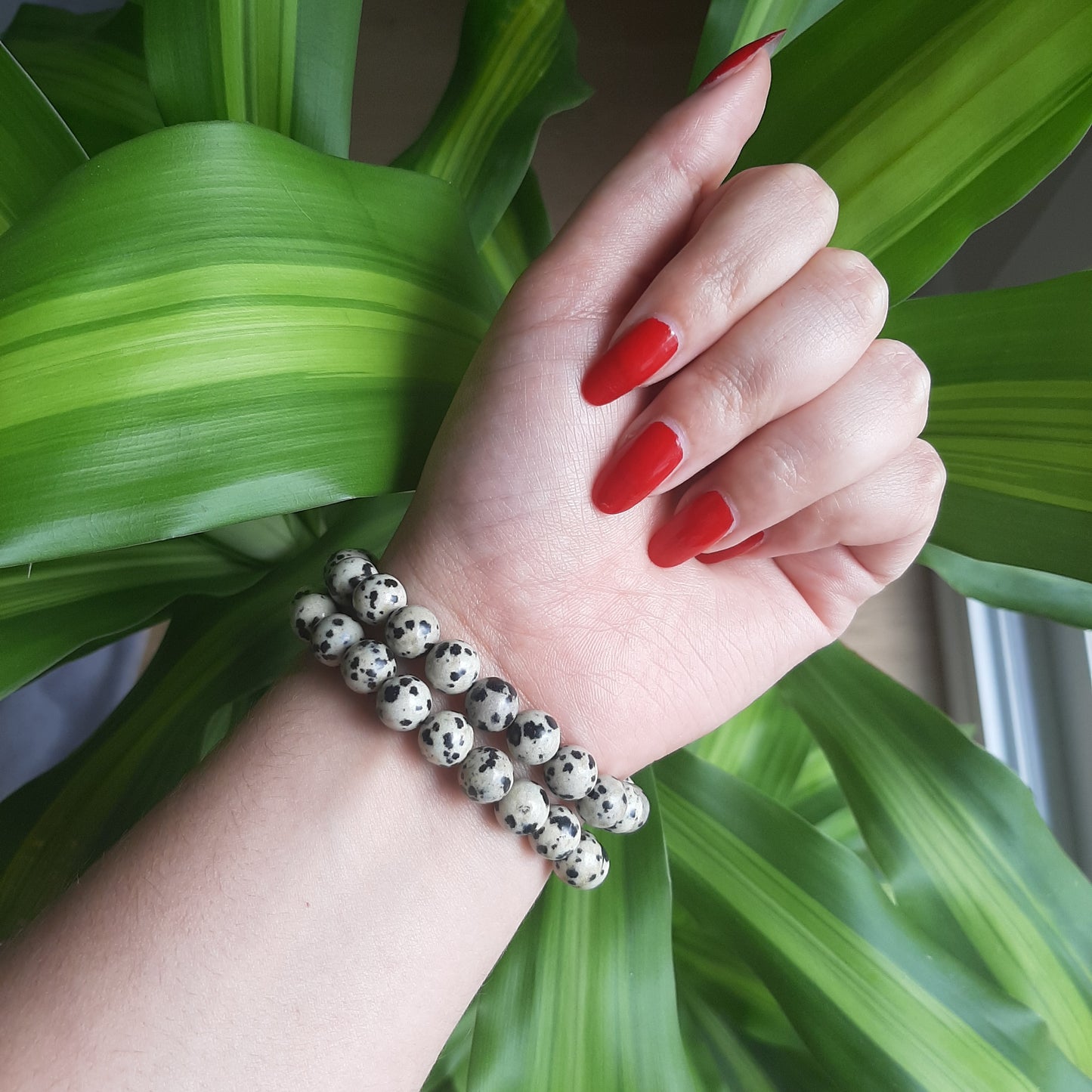 Dalmatian Jasper Bracelet