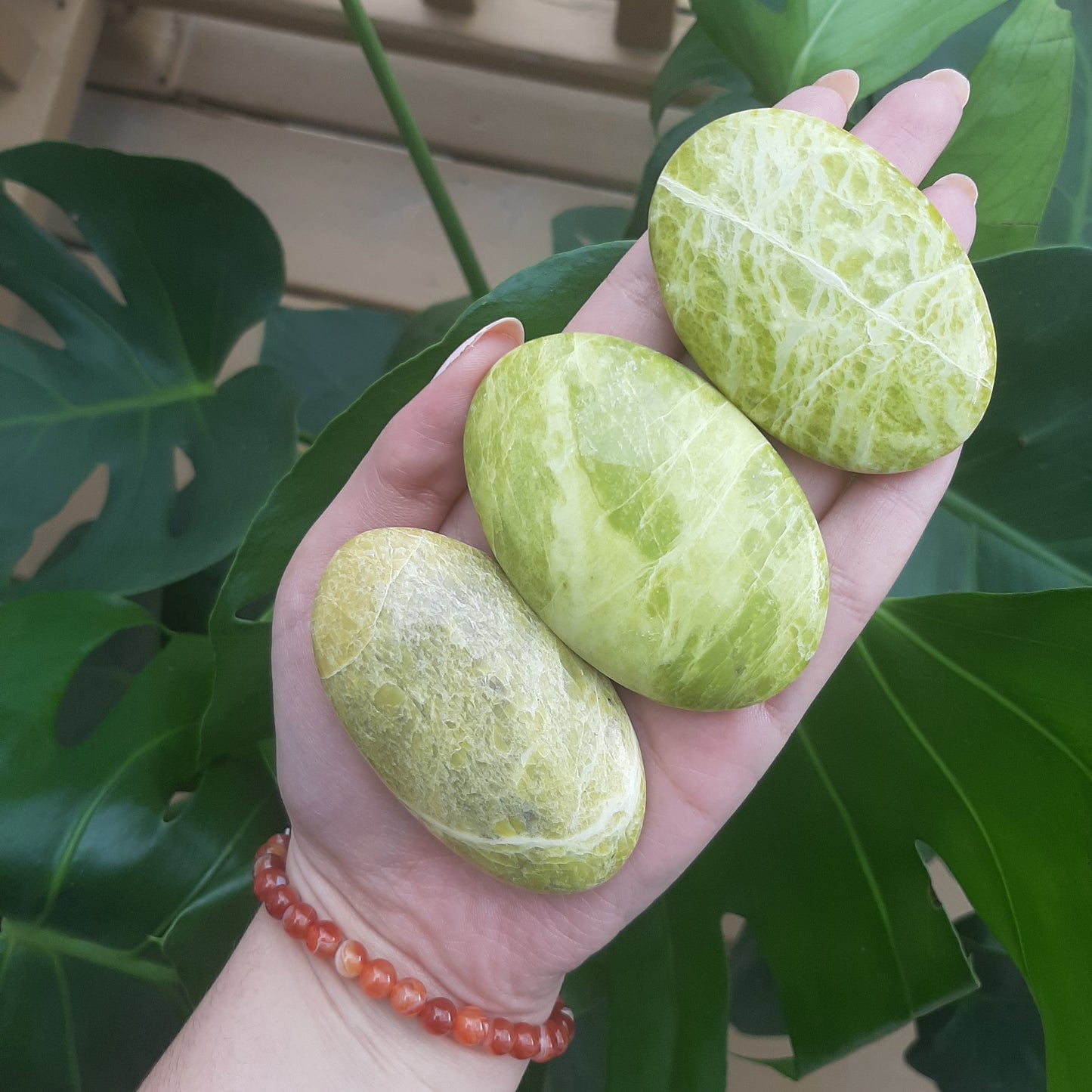 Serpentine Palm Stone