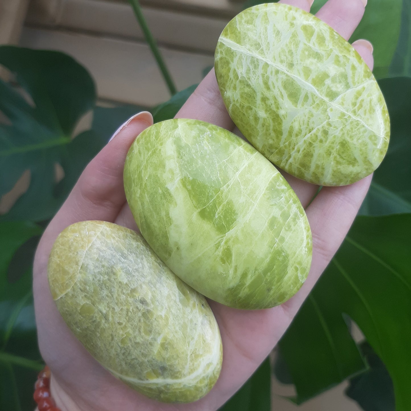 Serpentine Palm Stone
