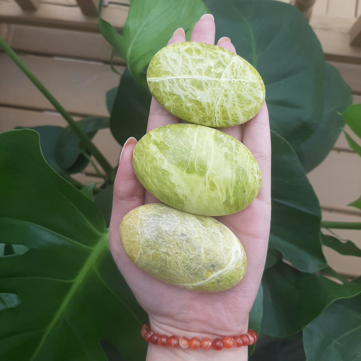 Serpentine Palm Stone