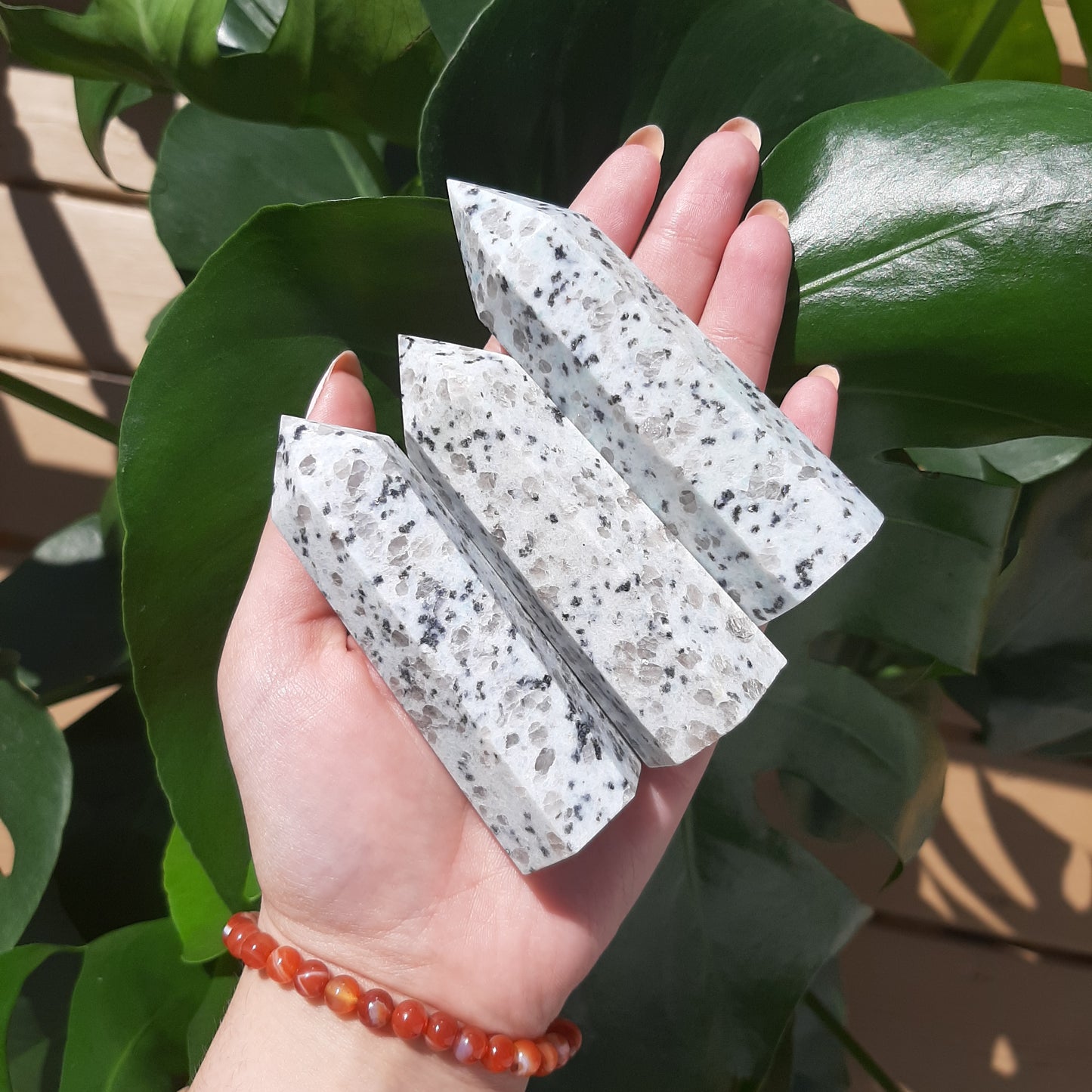 Kiwi Jasper Point