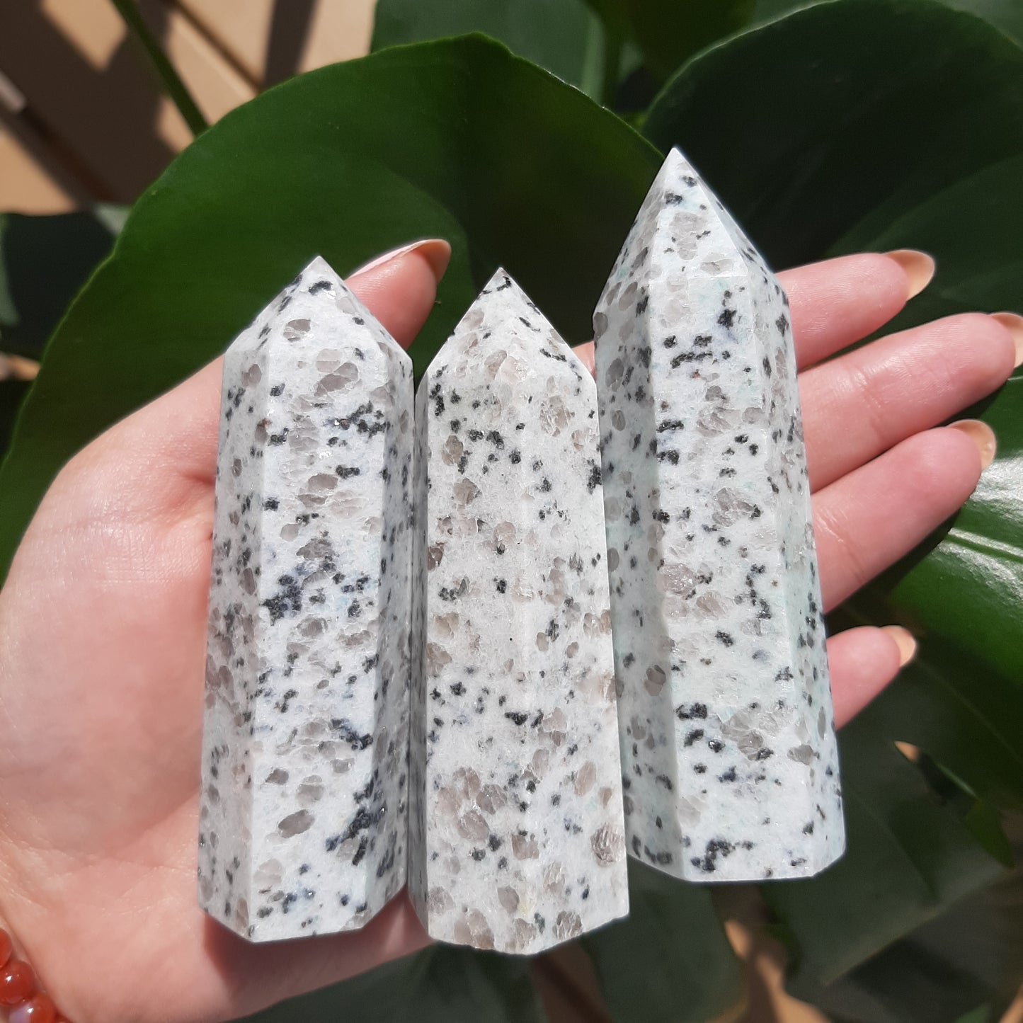 Kiwi Jasper Point