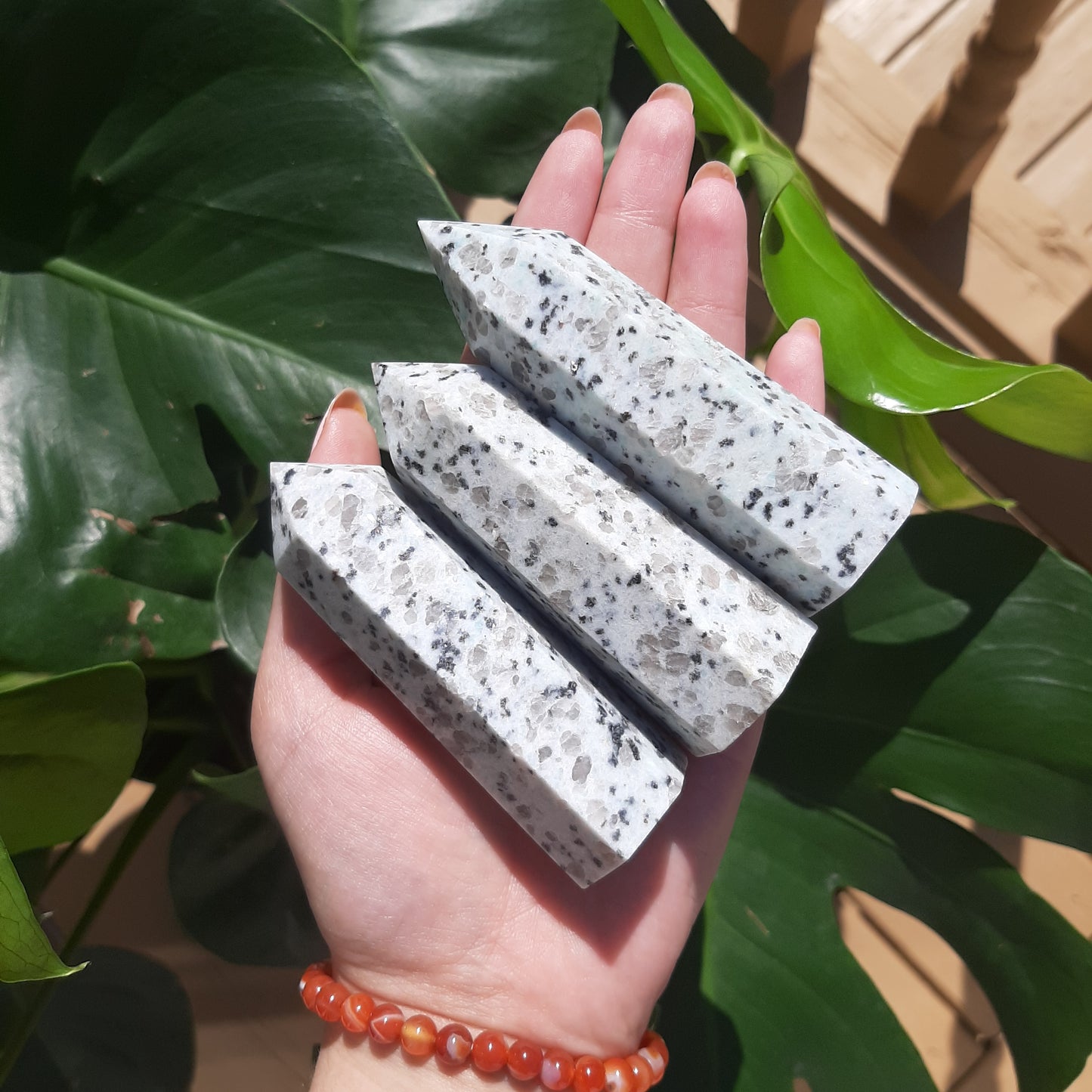 Kiwi Jasper Point