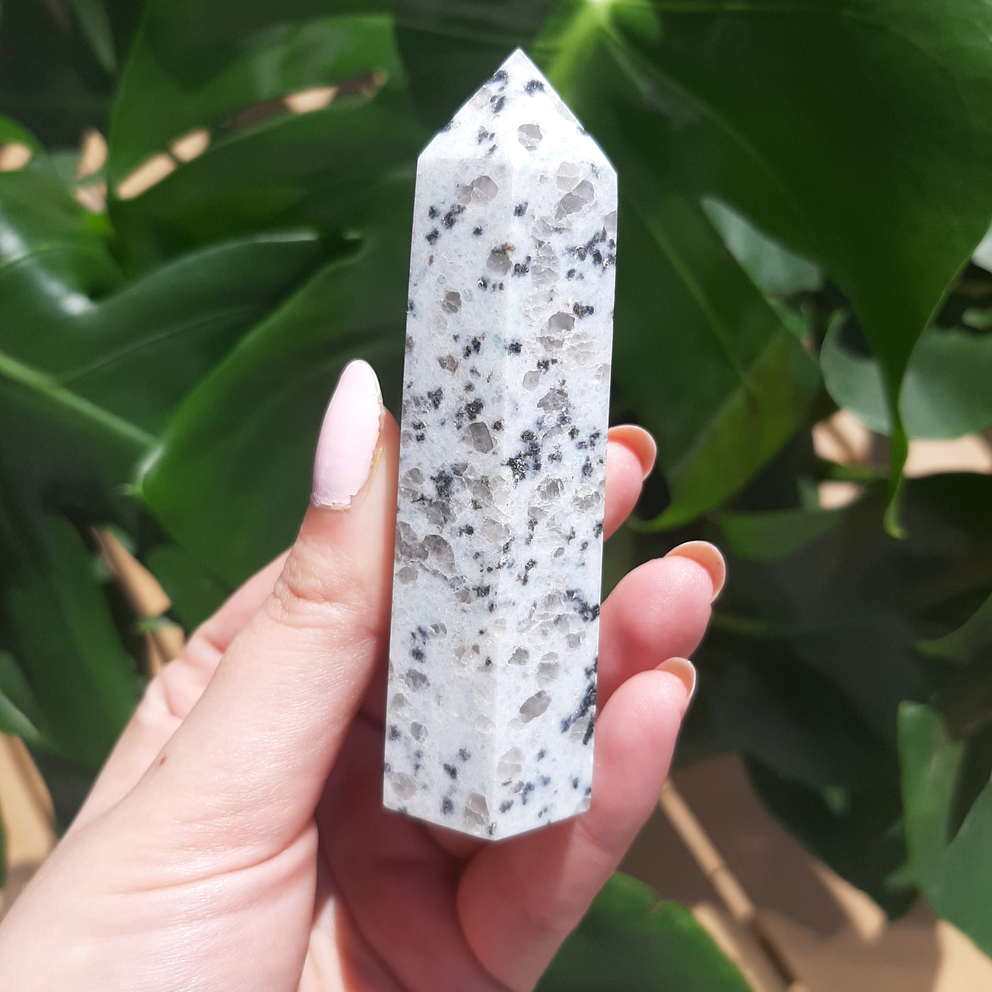 Kiwi Jasper Point