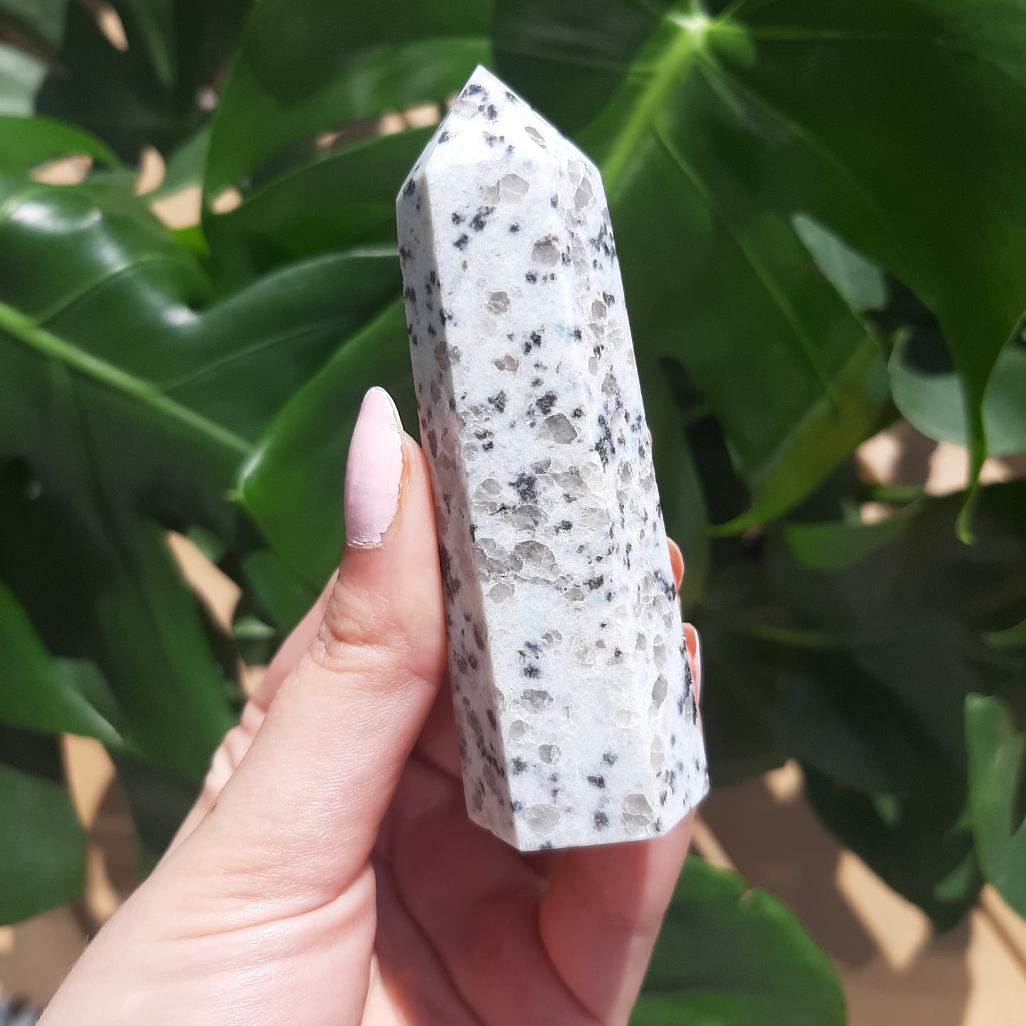 Kiwi Jasper Point