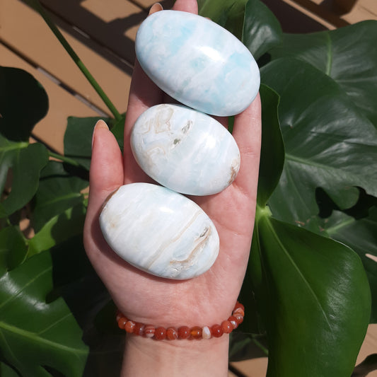 Carribean Calcite Palm