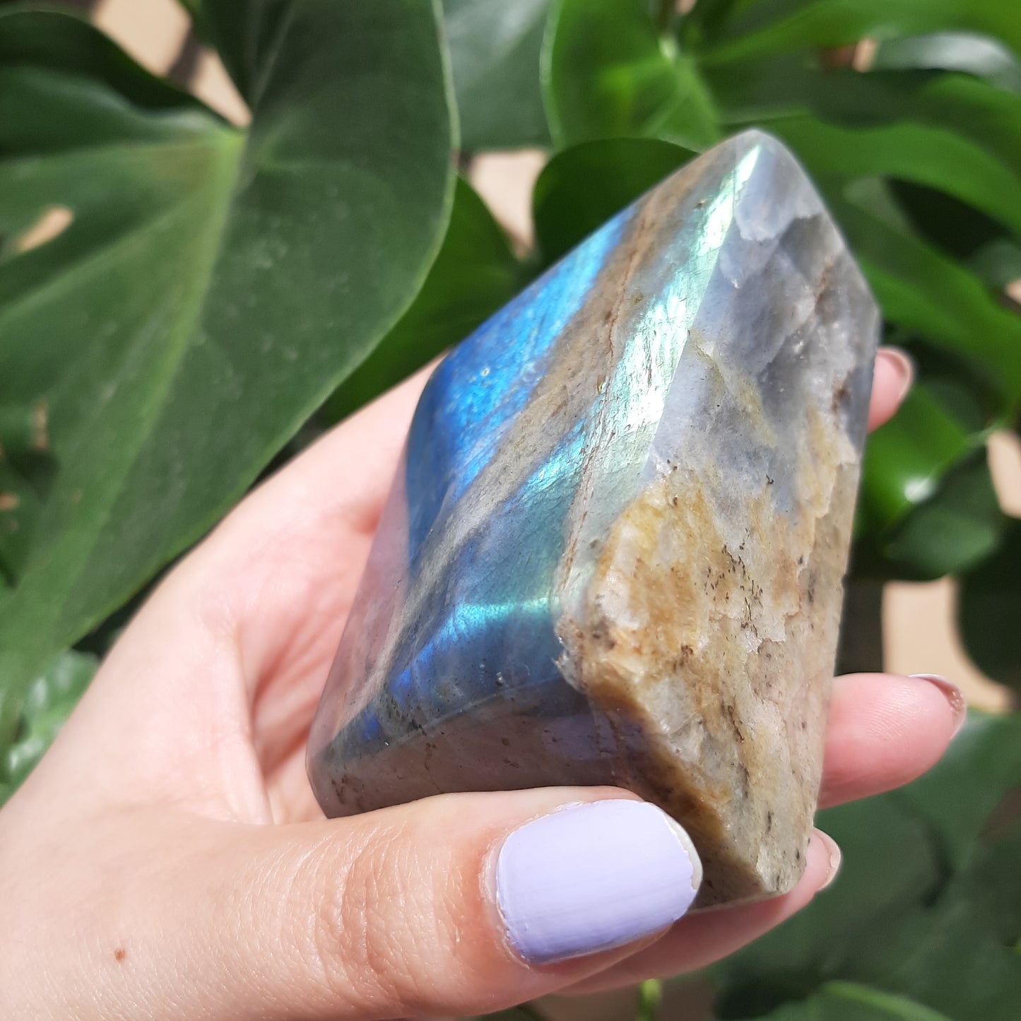 Blue Flash Labradorite Freeform