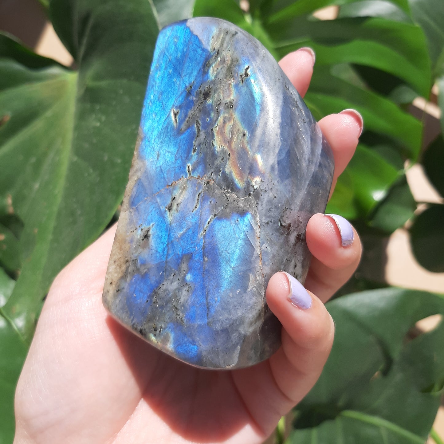 Blue Flash Labradorite Freeform