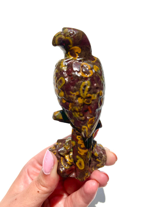 Large Rainforest Jasper Perching Parrot