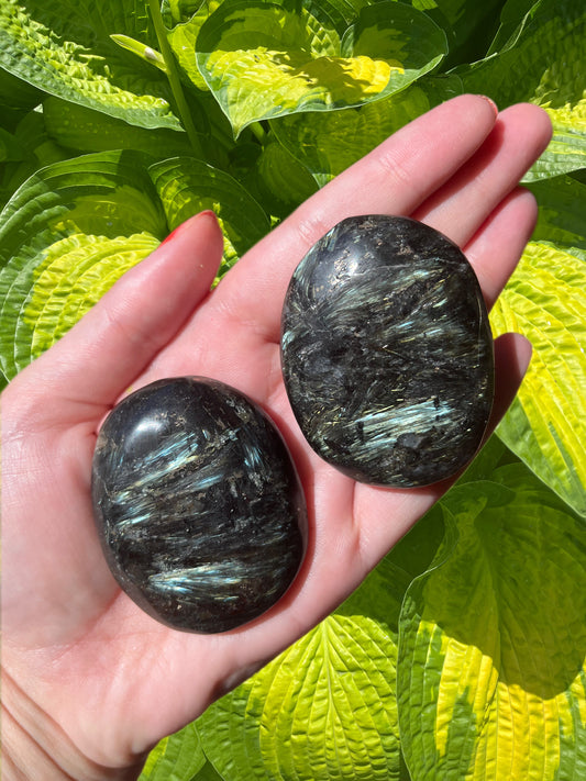 Astrophyllite Palm