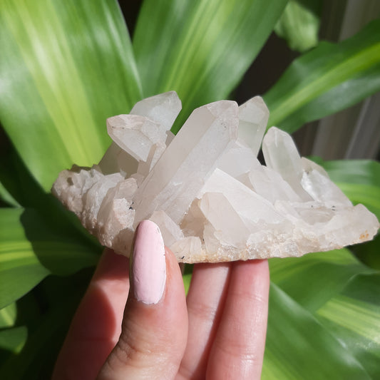 Clear Quartz Cluster