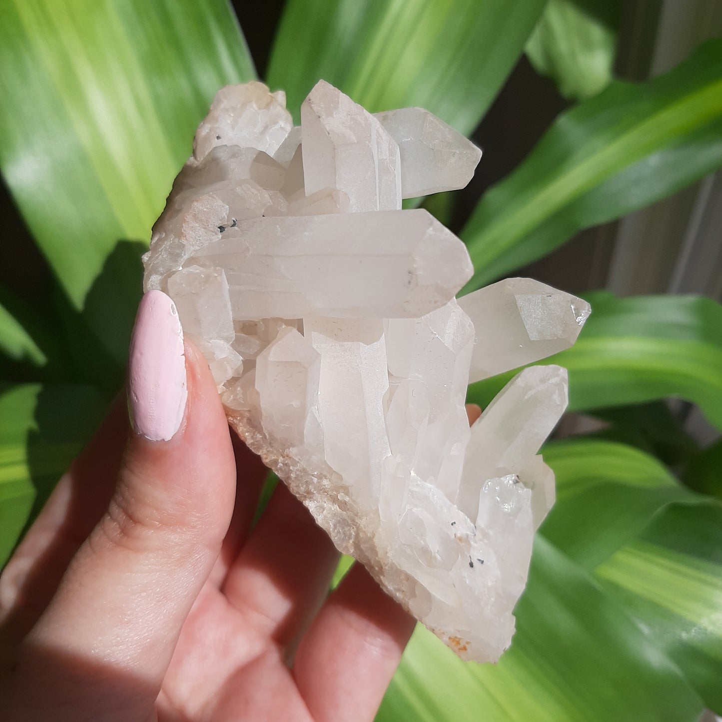 Clear Quartz Cluster