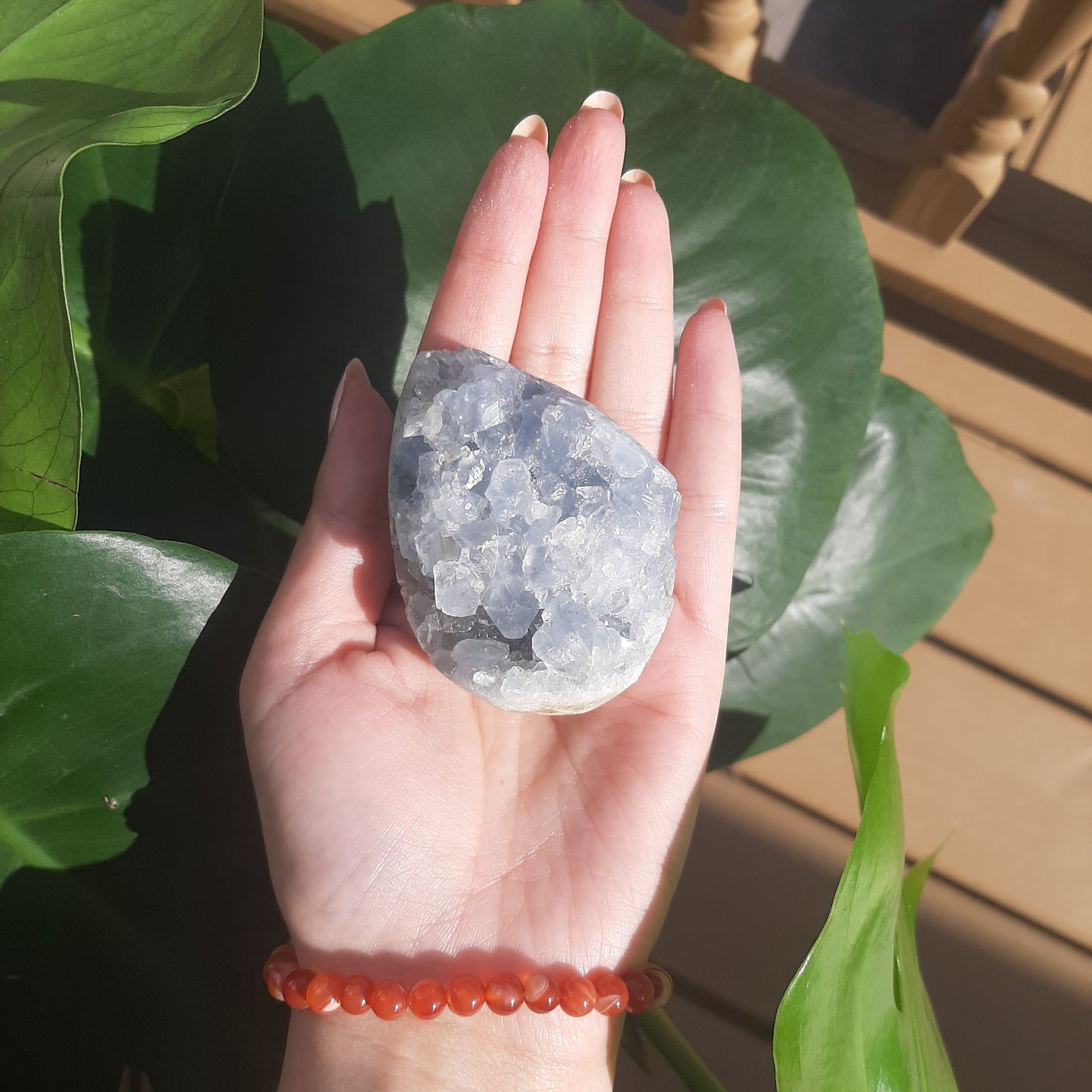 Celestite Geode