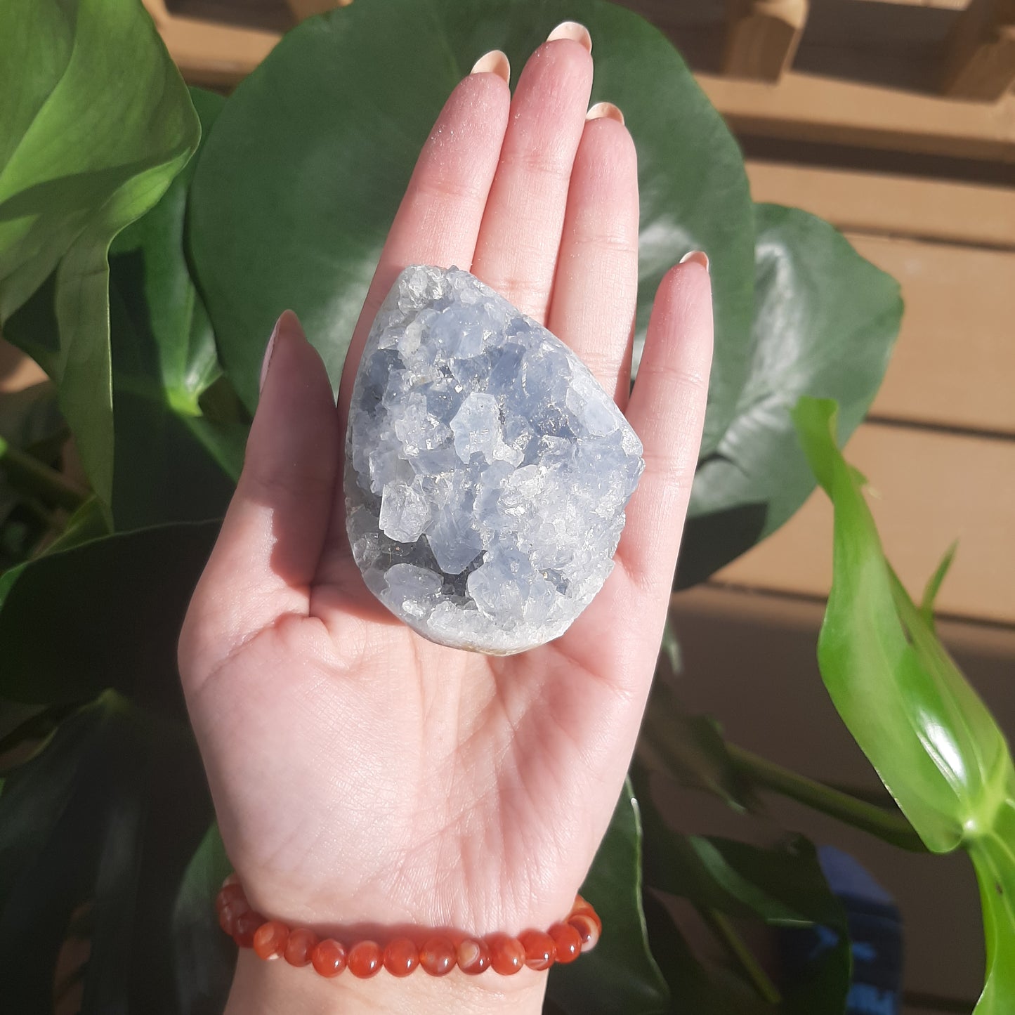 Celestite Geode