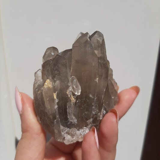 Smoky Quartz Cluster