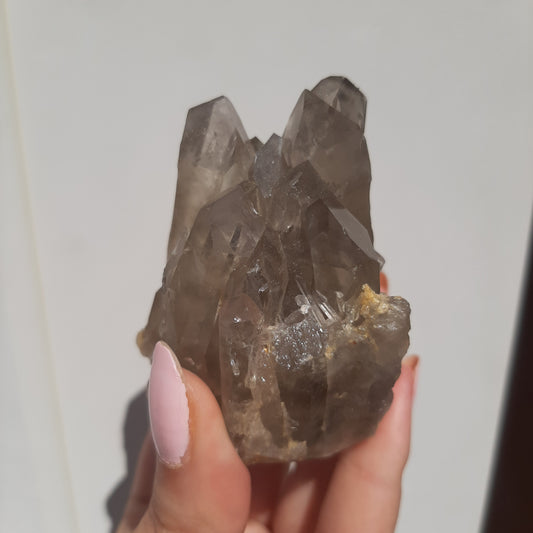 Smoky Quartz Cluster