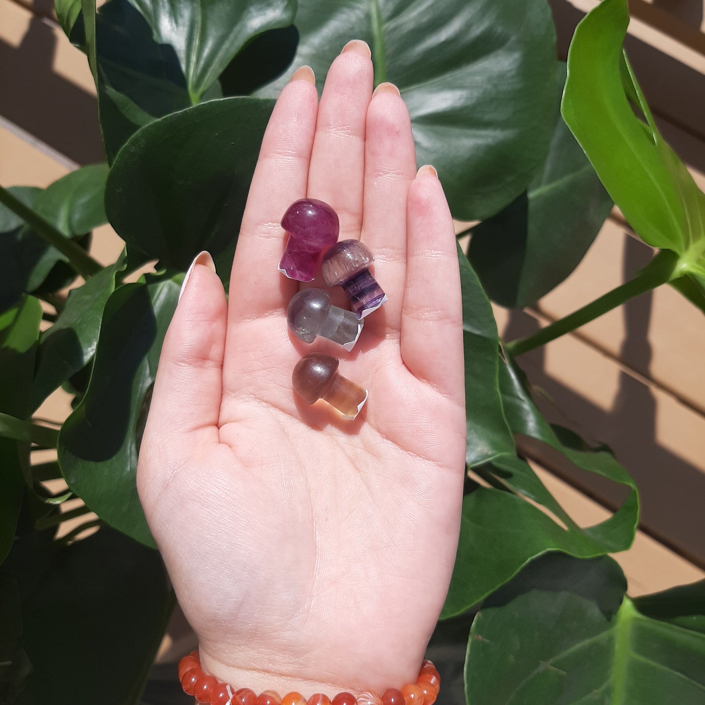 Fluorite Mini Mushroom