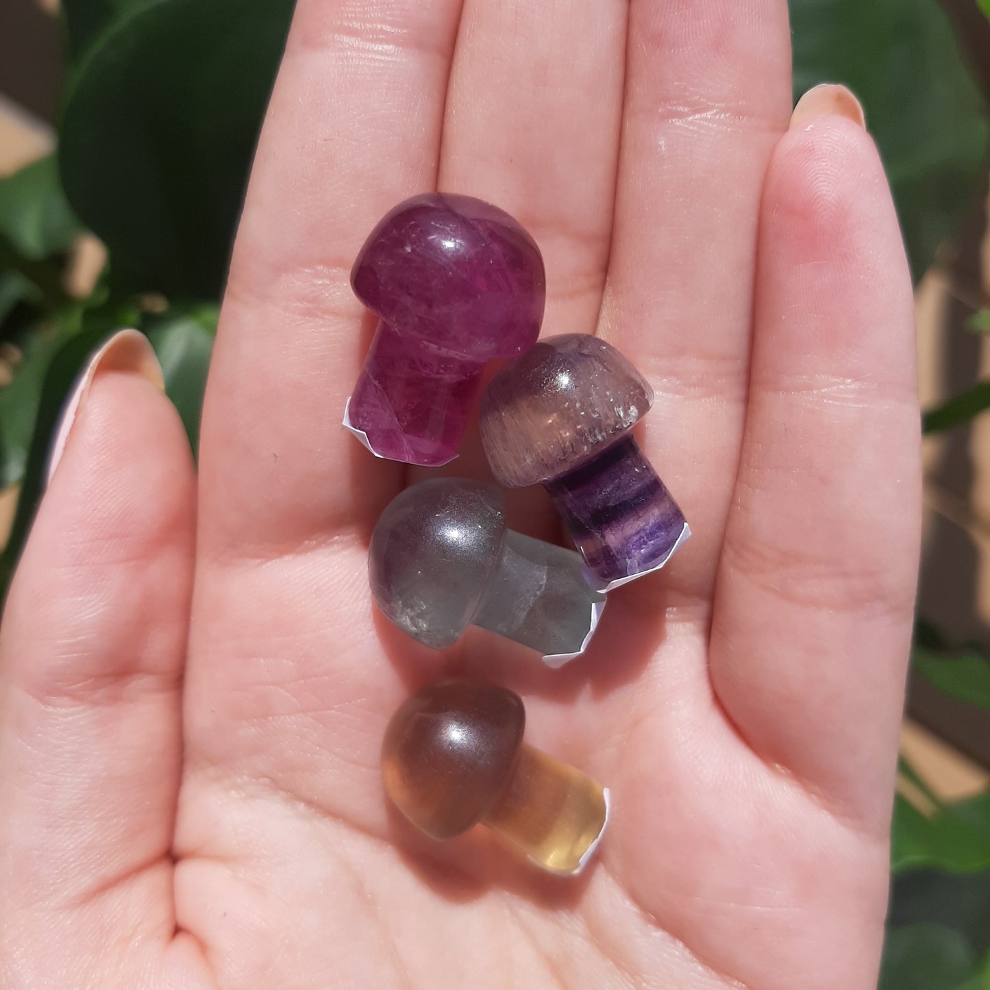 Fluorite Mini Mushroom