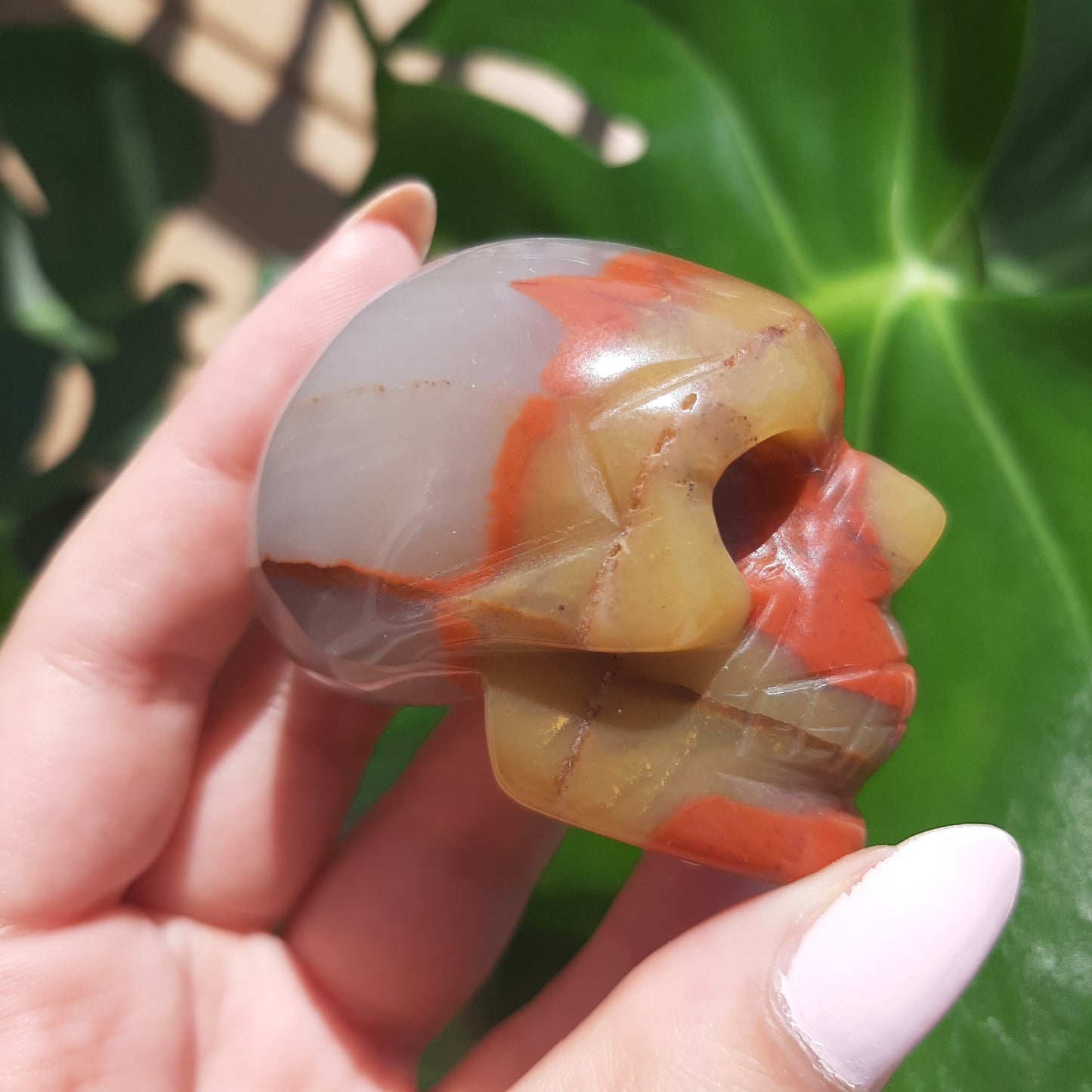 Red Jasper x Agate Skull