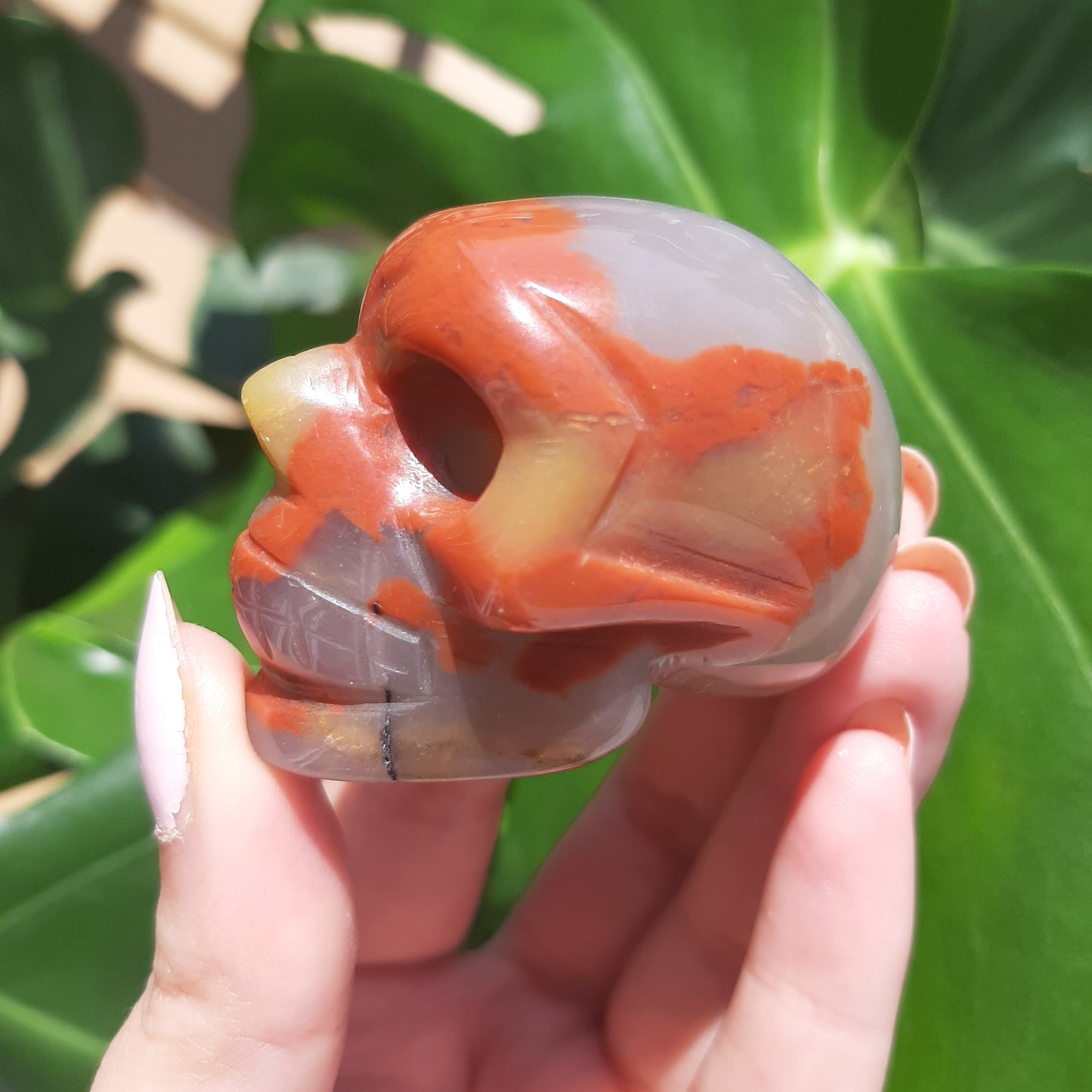 Red Jasper x Agate Skull