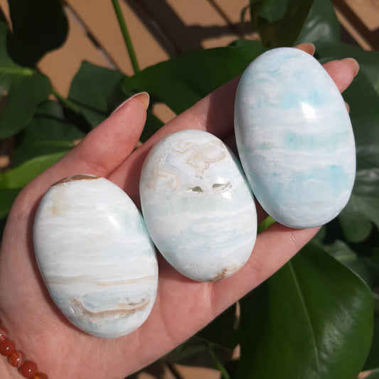Carribean Calcite Palm