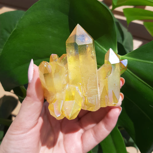 Yellow Aura Cluster