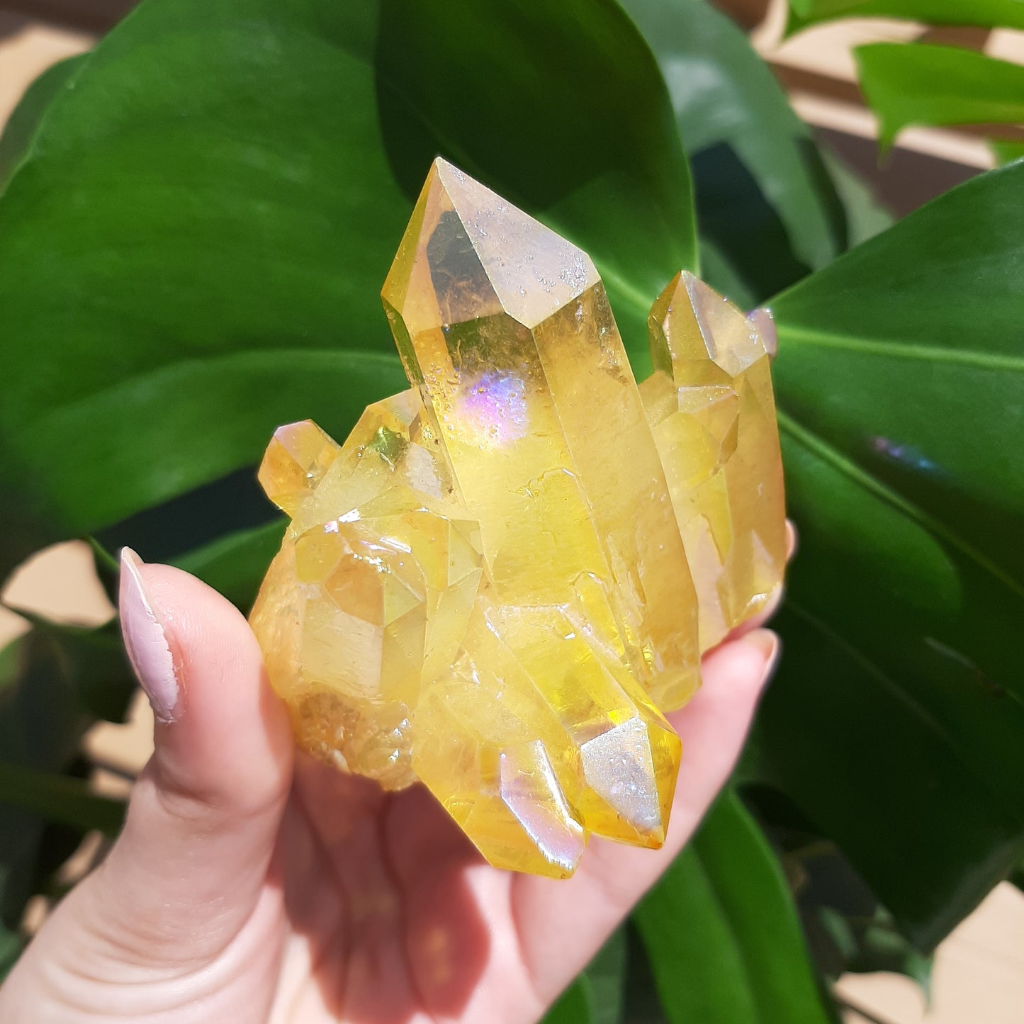 Yellow Aura Cluster