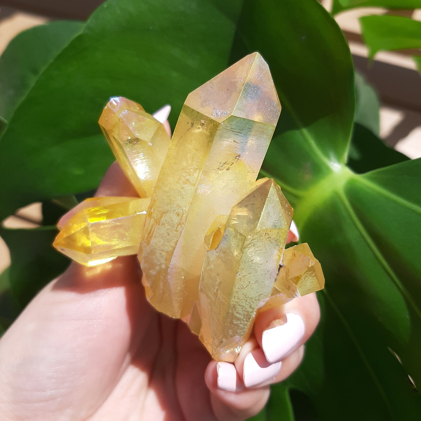 Yellow Aura Cluster