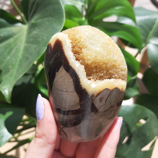 Septarian Druzy Freeform