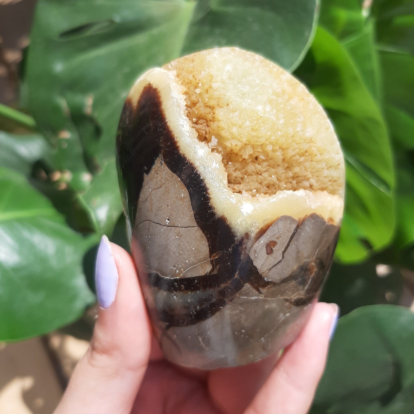 Septarian Druzy Freeform