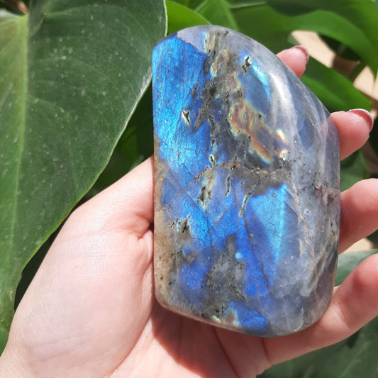 Blue Flash Labradorite Freeform