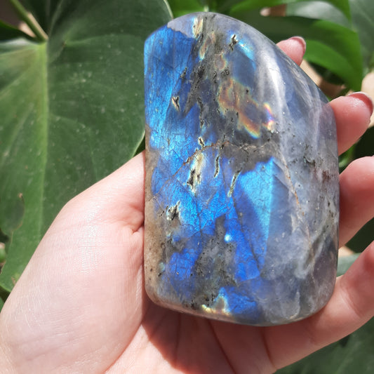 Blue Flash Labradorite Freeform