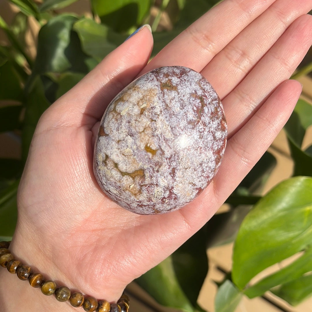 Ocean Jasper Palm