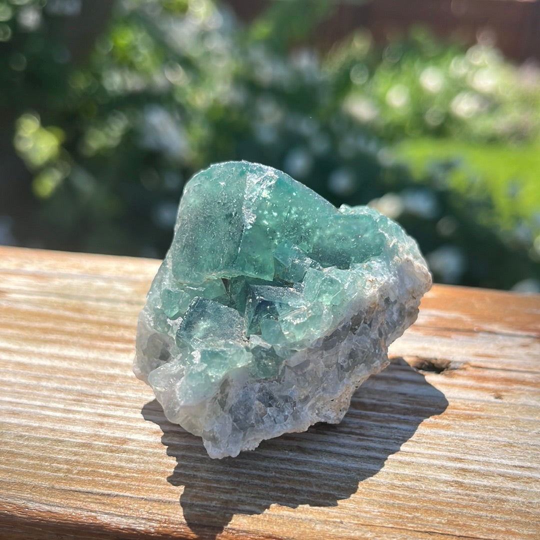 Cubic Green Fluorite Cluster