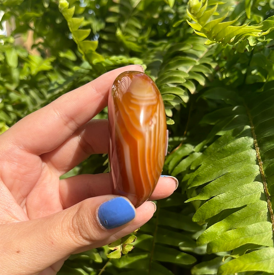 Carnelian Moon