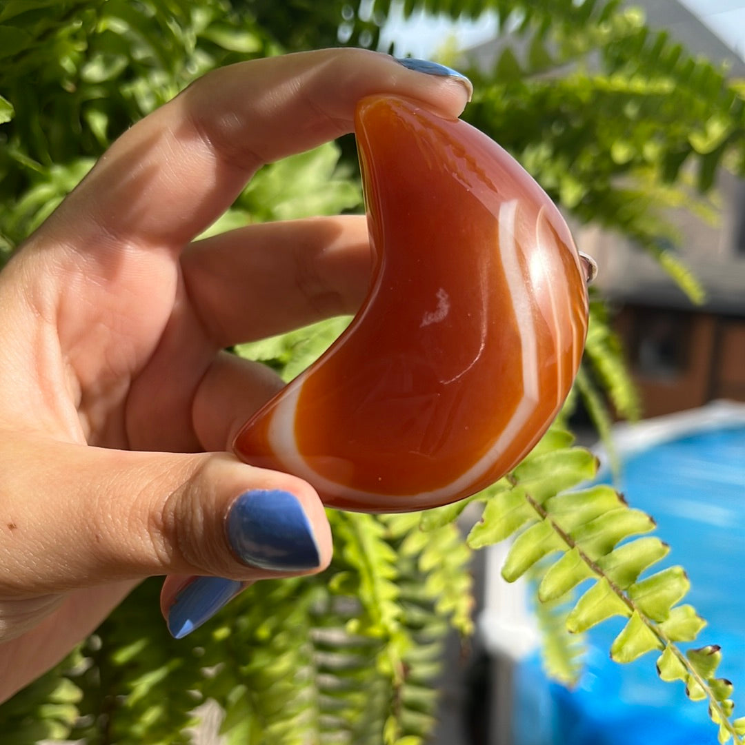 Carnelian Moon