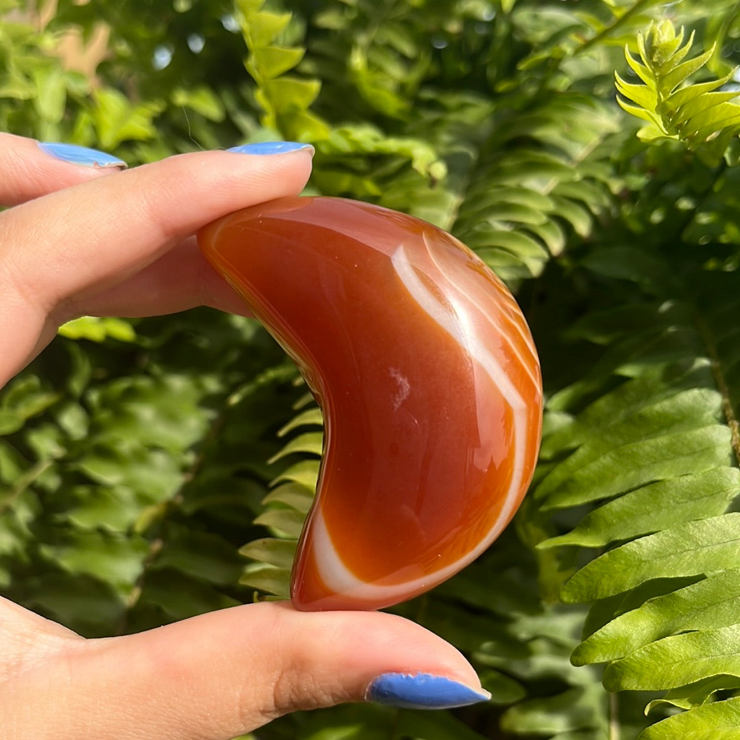 Carnelian Moon