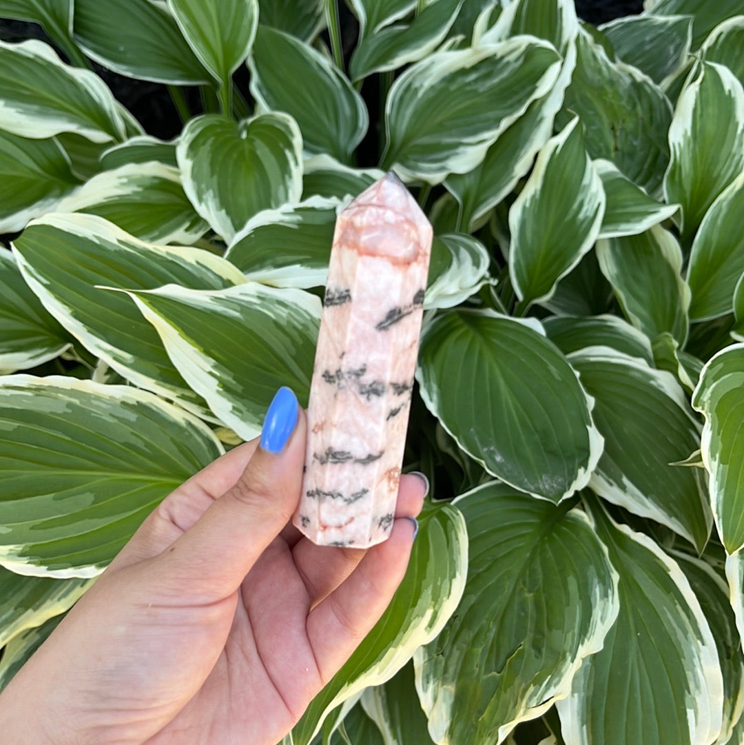 Pink Zebra Jasper Point