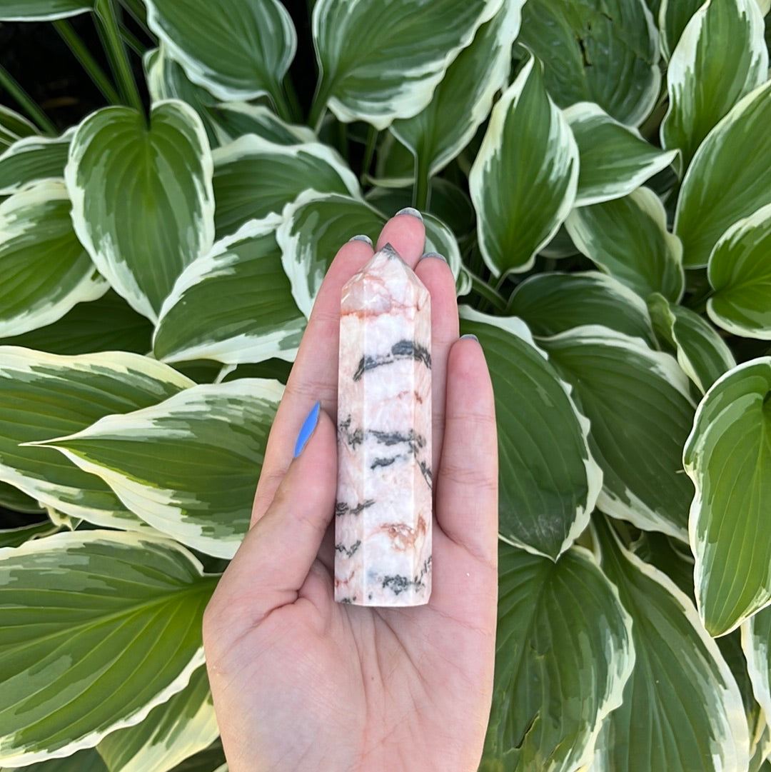 Pink Zebra Jasper Point