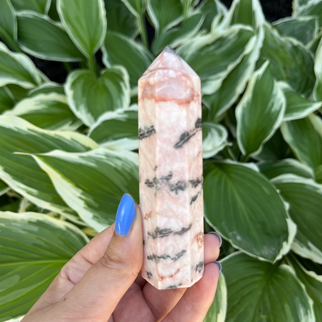 Pink Zebra Jasper Point