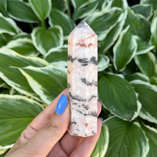 Pink Zebra Jasper Point